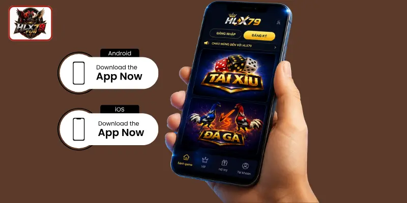 Cách tải app HLX79 nhanh chóng trên mọi thiết bị