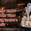 Đăng Nhập HLX79 – Hướng Dẫn Thao Tác Nhanh Trong 3 Phút