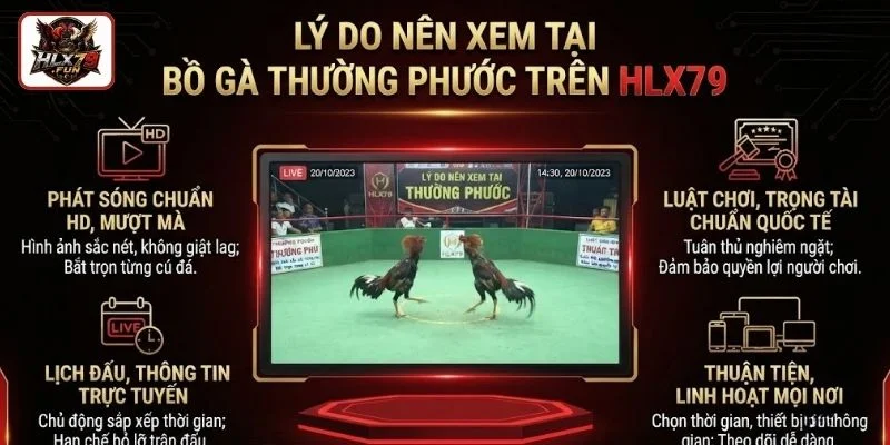 Lý do nên xem tại bồ gà Thường Phước trên HLX79